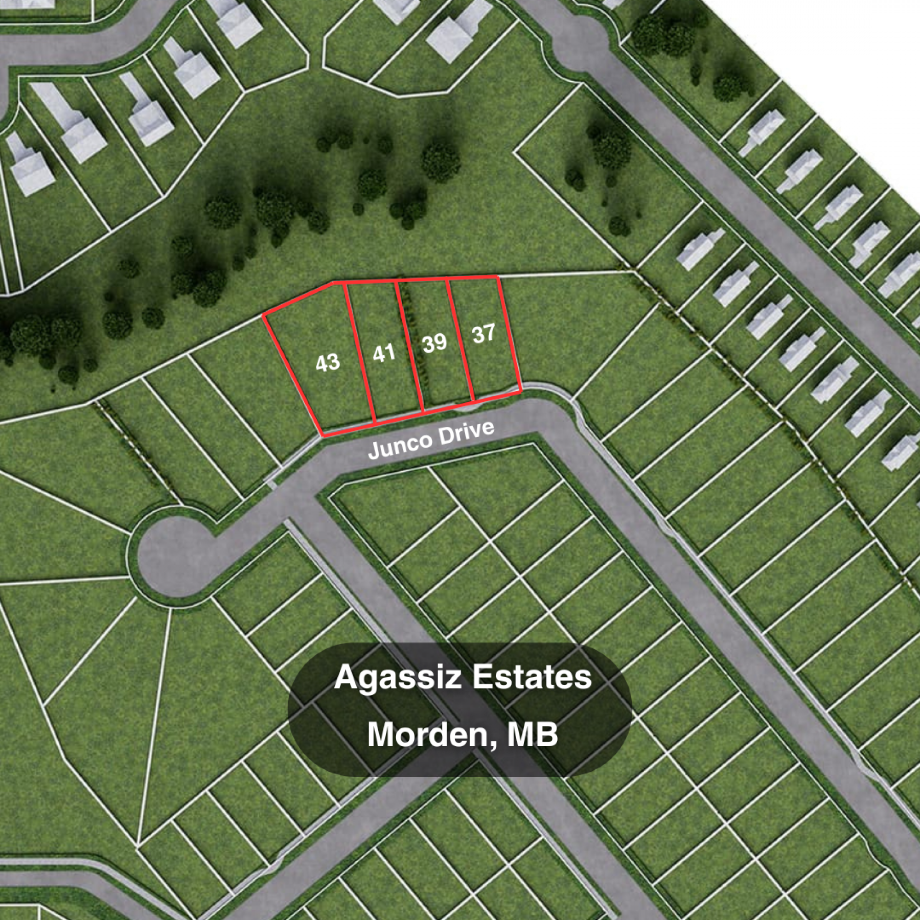 Junco Drive Lots